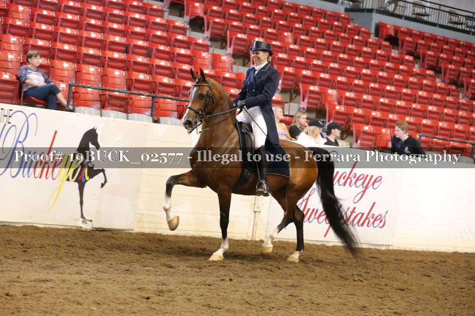Proof 19BUCK_02577