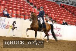 19BUCK_02577 proof