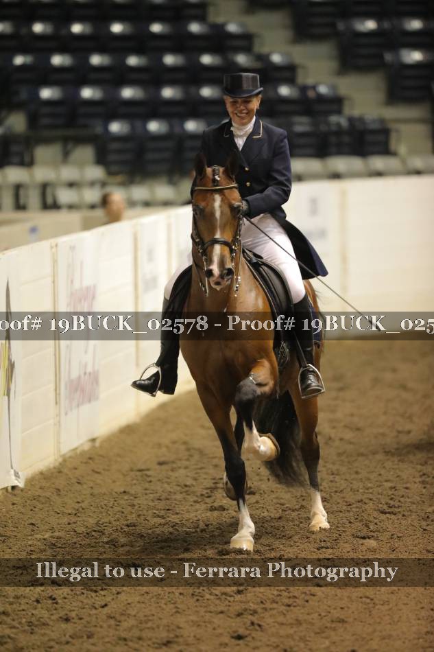 Proof 19BUCK_02578