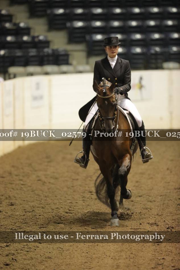 Proof 19BUCK_02579