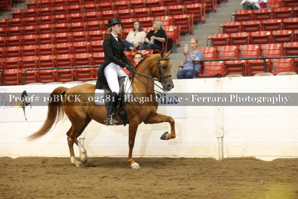 Proof 19BUCK_02581