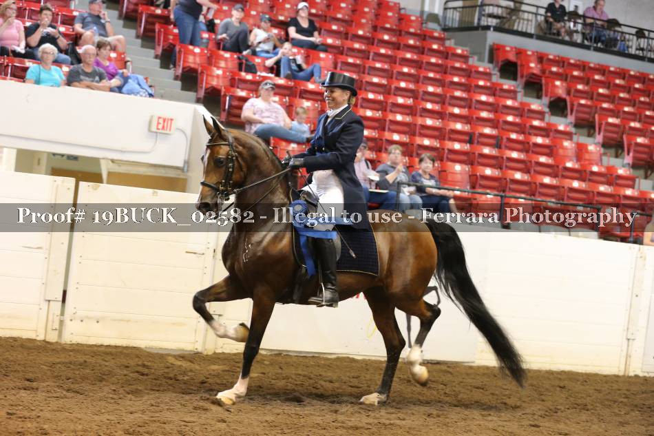 Proof 19BUCK_02582