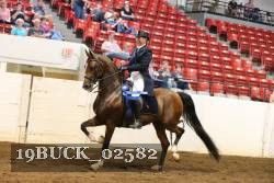 19BUCK_02582 proof