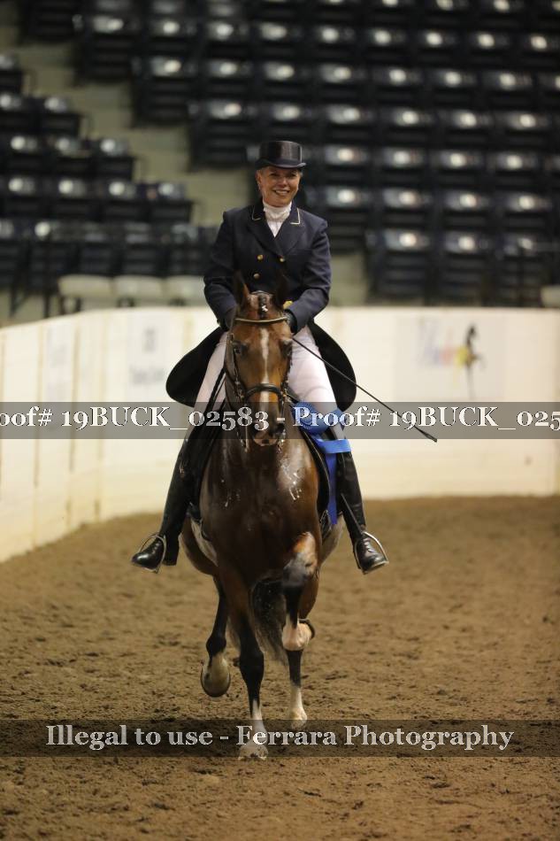 Proof 19BUCK_02583