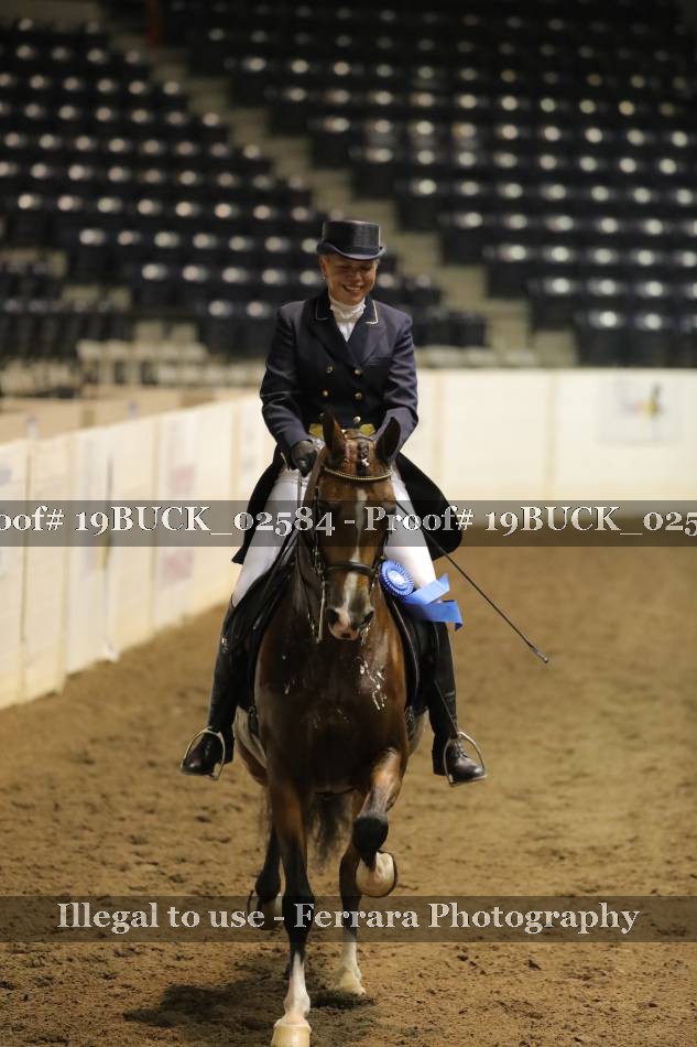 Proof 19BUCK_02584