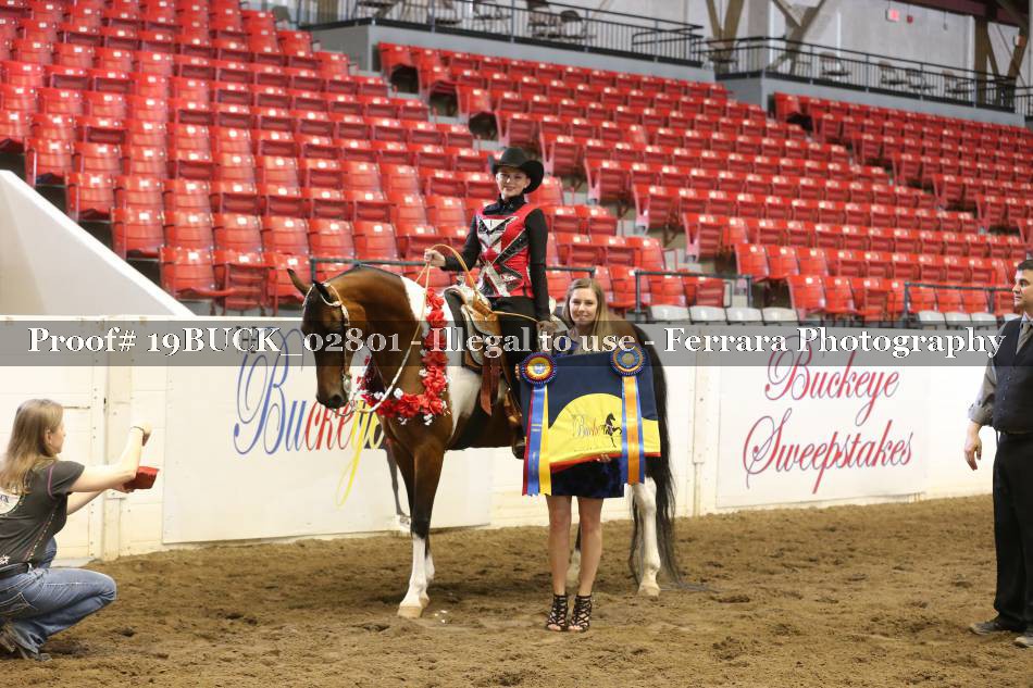 Proof 19BUCK_02801