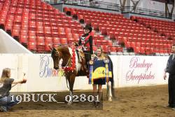 19BUCK_02801 proof
