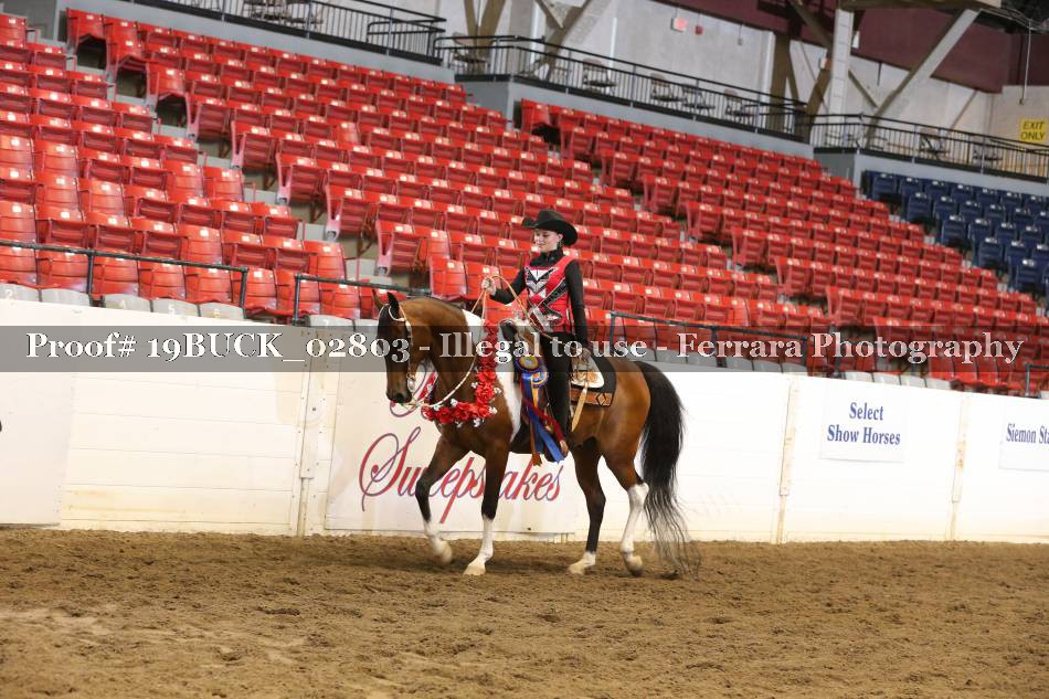 Proof 19BUCK_02803
