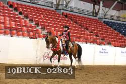 19BUCK_02803 proof