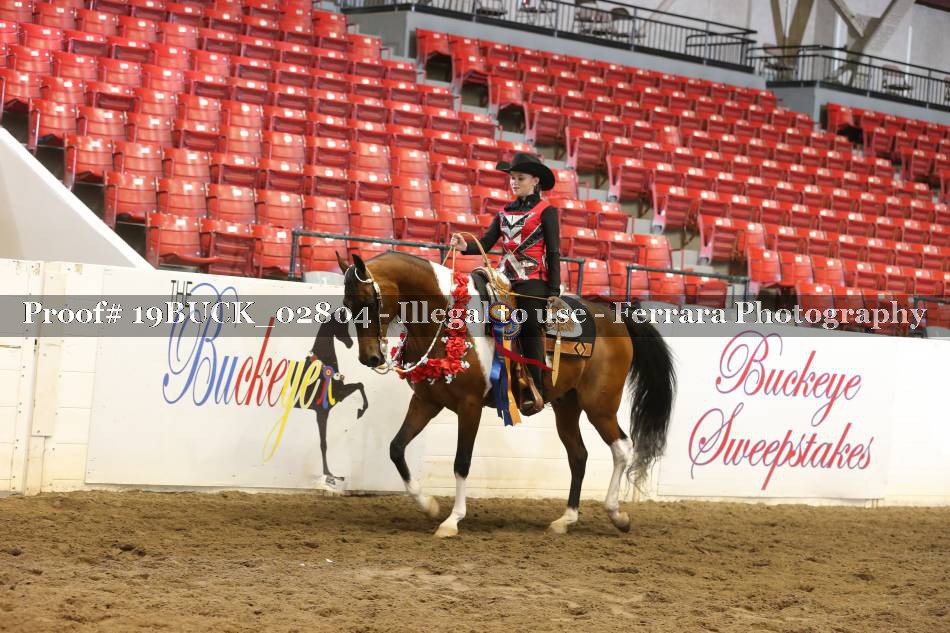 Proof 19BUCK_02804