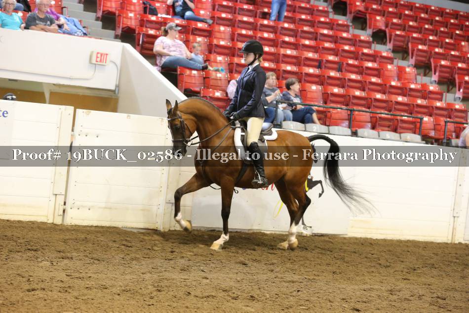 Proof 19BUCK_02586