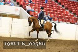 19BUCK_02586 proof