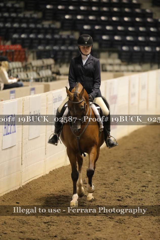 Proof 19BUCK_02587
