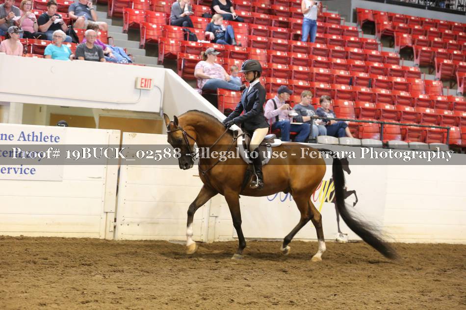 Proof 19BUCK_02588