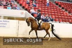 19BUCK_02588 proof