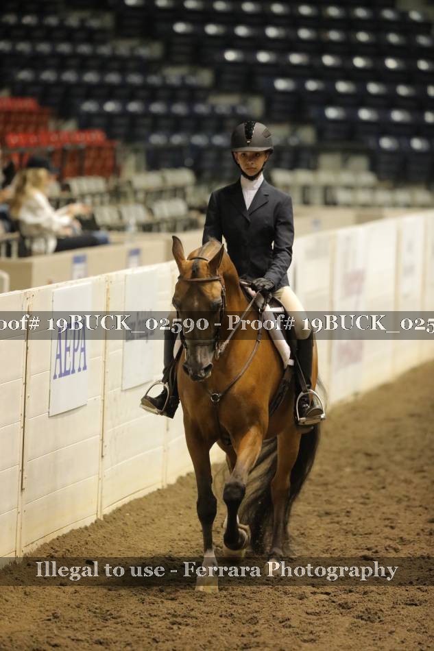 Proof 19BUCK_02590