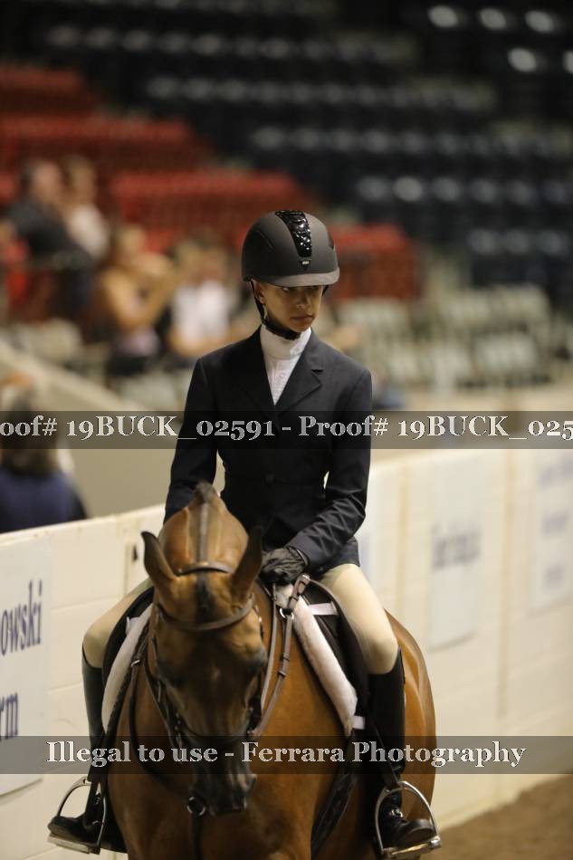 Proof 19BUCK_02591