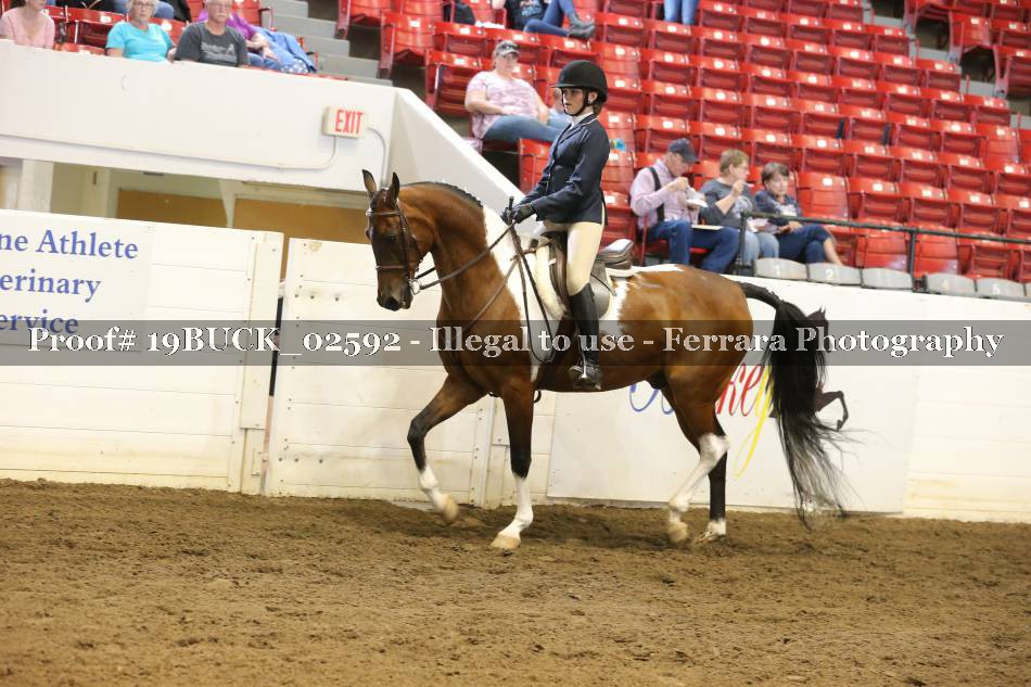 Proof 19BUCK_02592