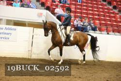 19BUCK_02592 proof
