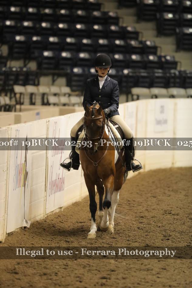 Proof 19BUCK_02593