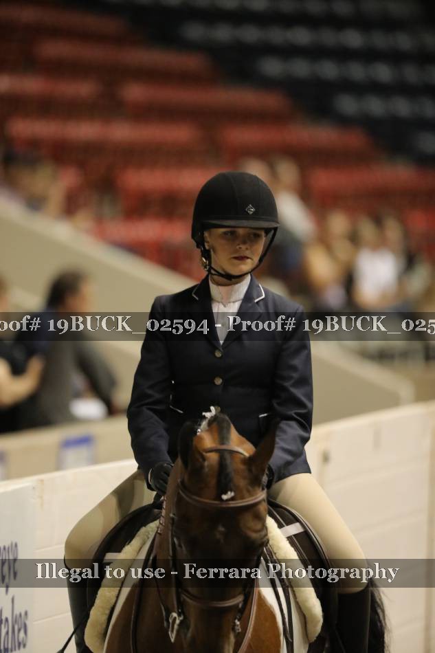 Proof 19BUCK_02594