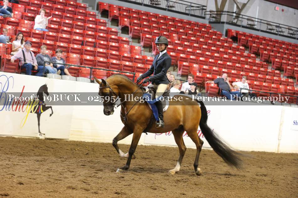 Proof 19BUCK_02595