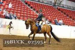 19BUCK_02595 proof