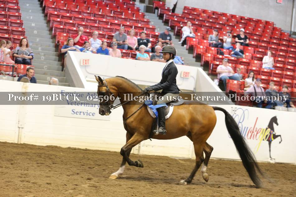 Proof 19BUCK_02596