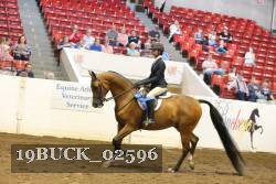 19BUCK_02596 proof