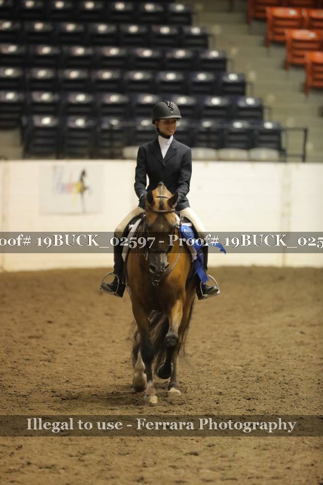 Proof 19BUCK_02597