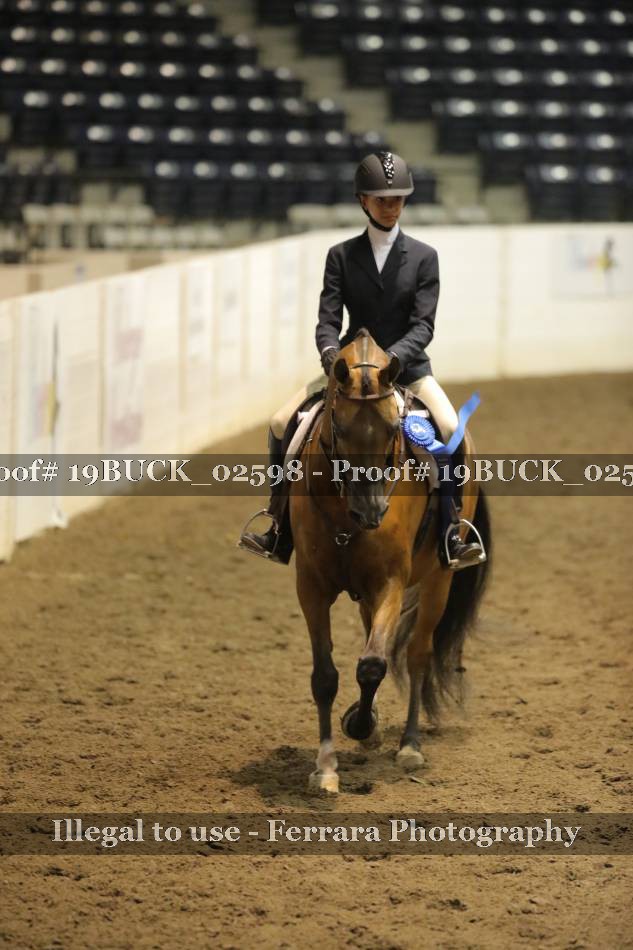 Proof 19BUCK_02598