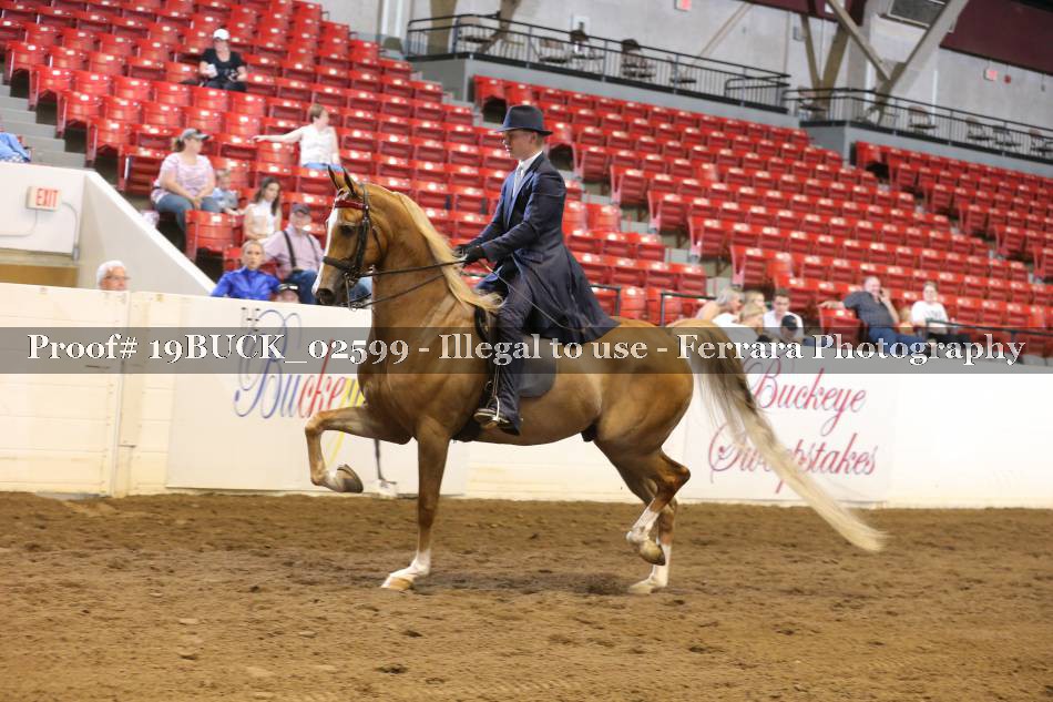Proof 19BUCK_02599