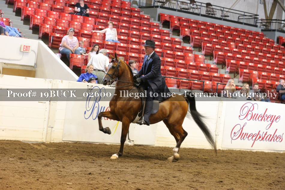 Proof 19BUCK_02600