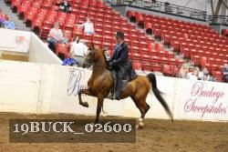 19BUCK_02600 proof