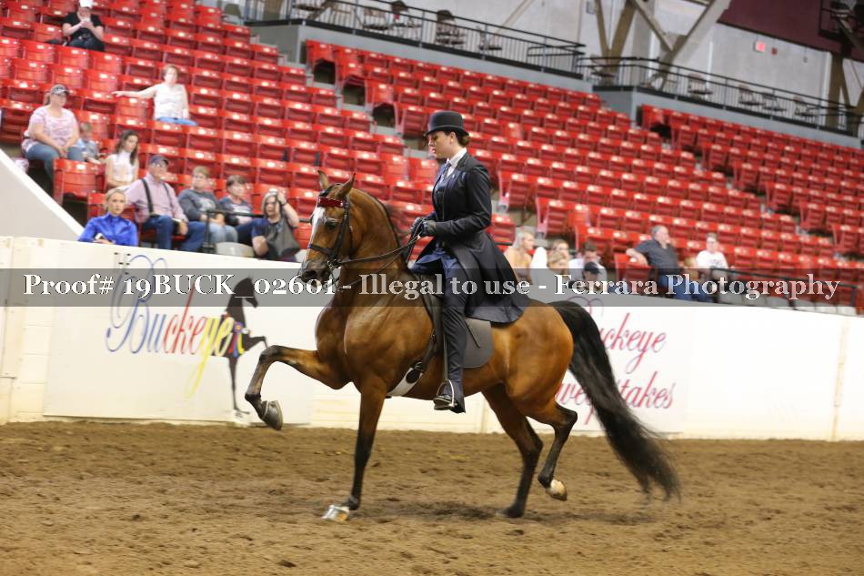 Proof 19BUCK_02601