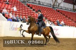 19BUCK_02601 proof
