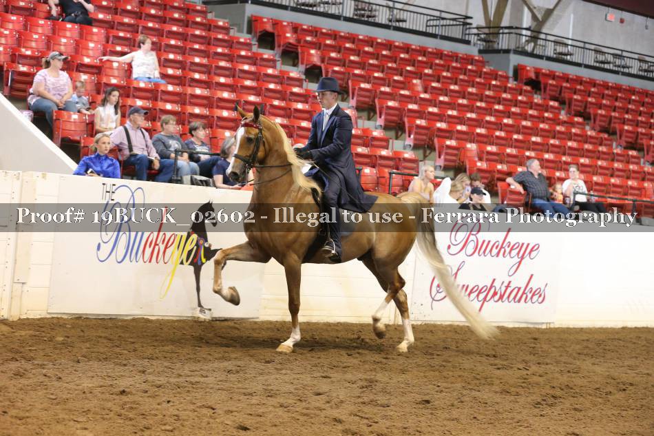 Proof 19BUCK_02602