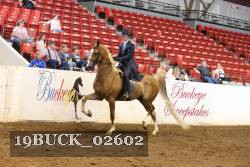19BUCK_02602 proof