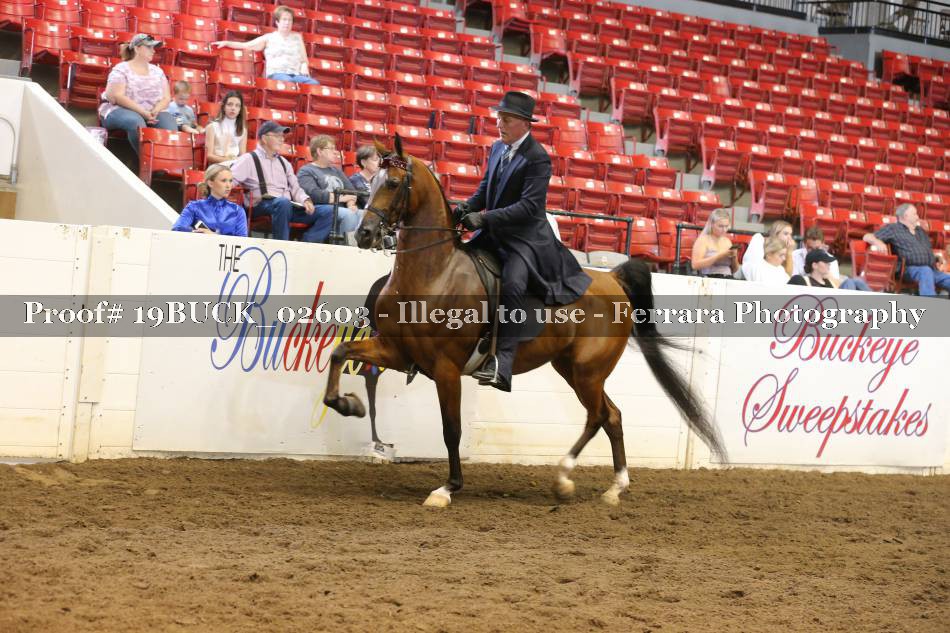 Proof 19BUCK_02603