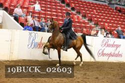 19BUCK_02603 proof
