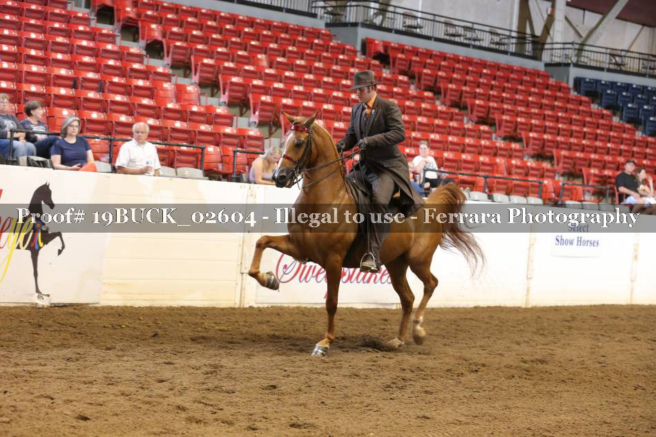 Proof 19BUCK_02604