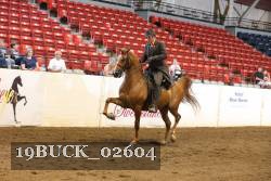 19BUCK_02604 proof