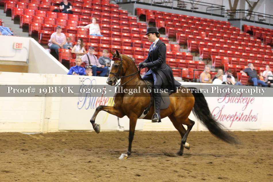 Proof 19BUCK_02605