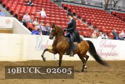 19BUCK_02605 proof