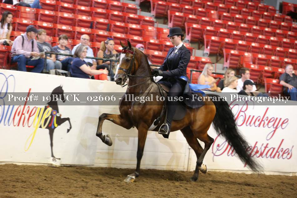 Proof 19BUCK_02606