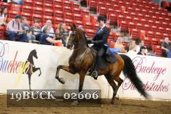 19BUCK_02606 proof