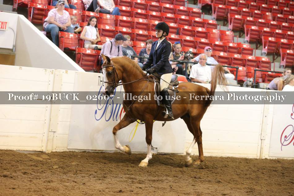 Proof 19BUCK_02607