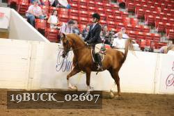 19BUCK_02607 proof