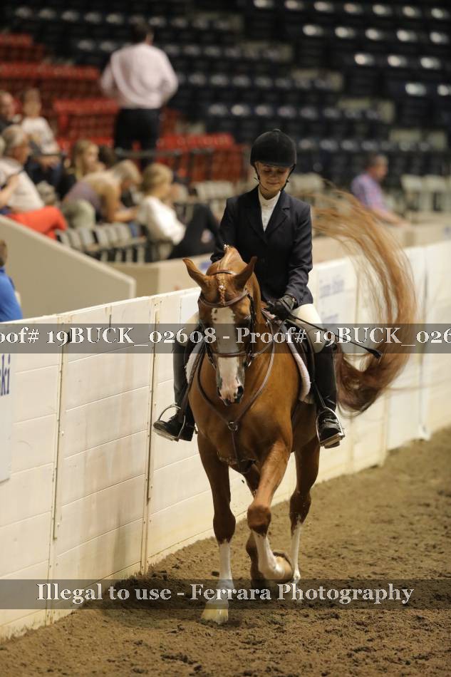 Proof 19BUCK_02608