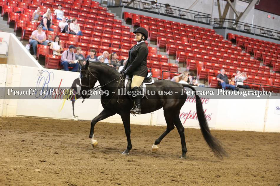 Proof 19BUCK_02609